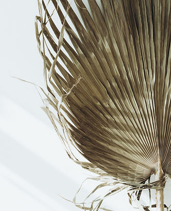 Sommer Creative Hero Image