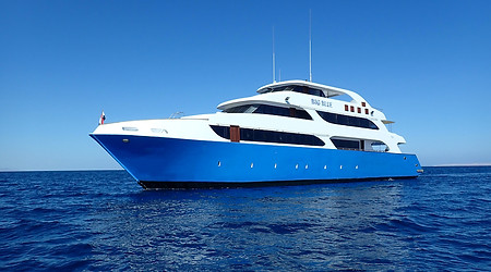 Big Blue 2 1050.jpeg