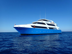 EGYPT : Red Sea Liveaboards