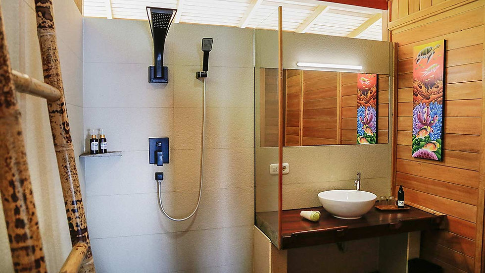 Beach Front Villa en-suite