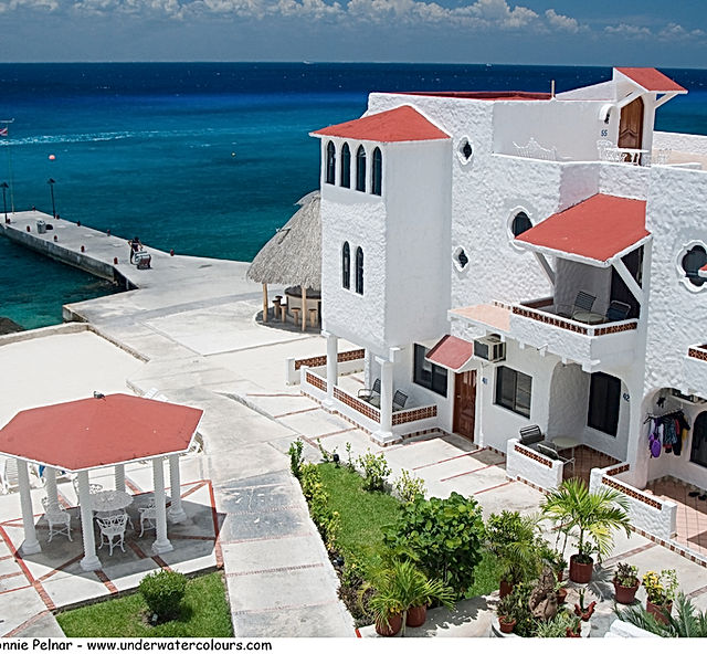 Introducir 74+ imagen dive house cozumel mexico Abzlocal.mx