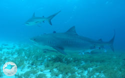 dsc05542.1920