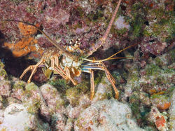 Key Largo