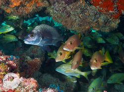 Key Largo