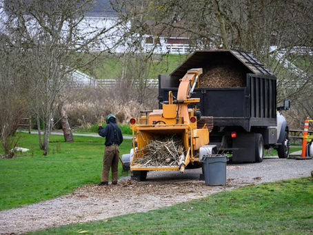 Proces zrębowania gałęzi
