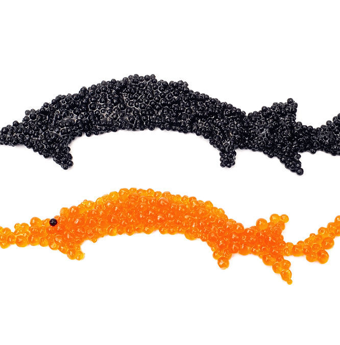 CaviarBlacktrout.jpeg