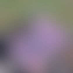 Inside the Tongren World: Chinese Feminist Zine ‘Pubis’ Celebrates Queer Love