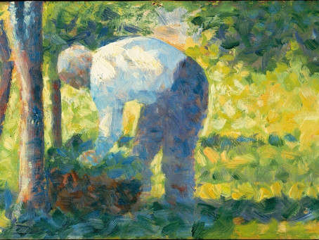 The Wisdom Gardener - Part I