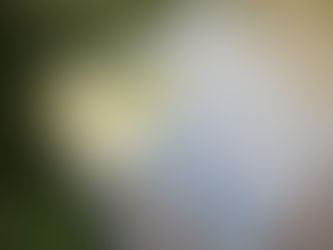 Свідомо до безбар’єрності