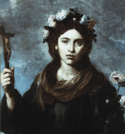 Santa Rosa