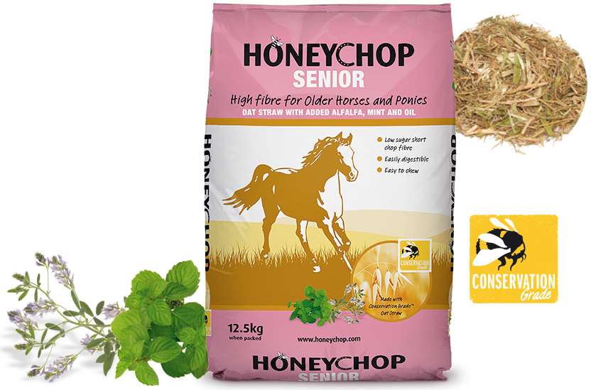 Honeychop Senior