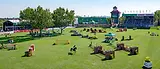word-of-rolex-the-grand-slam-of-show-jumping-csio.webp