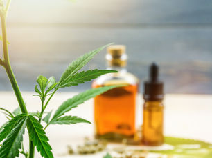 Il CBD: perché è così importante?