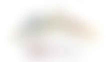 Il 2026 è l’anno dei pastori, “eroi” verdi del Pianeta