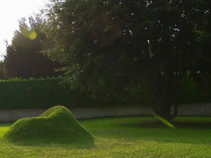 Una sedia che non si monta: si semina. TERRA!