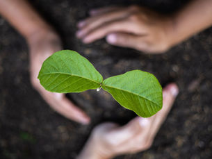 Sardegna a “pieni polmoni”: tre progetti per il verde collettivo