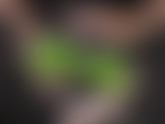 Sardegna a “pieni polmoni”: tre progetti per il verde collettivo