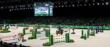 word-of-rolex-the-grand-slam-of-show-jumping-the-dust-master.webp
