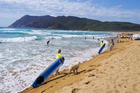 WhatsApp Image 2023-04-07 at 13.18.05.jpeg