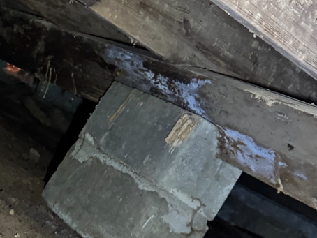 What’s Hiding Under Your Home? The Silent Dangers of Damaged Joists, Rotting Beams, and Mold