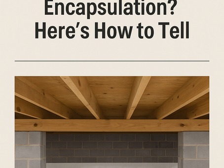 Untitled Do You Really Need Crawl Space Encapsulation? Here’s How to Tell