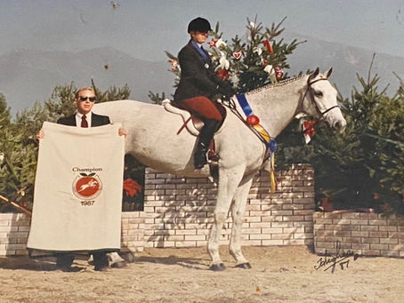 Welcome to my Journey in the Horse Industry