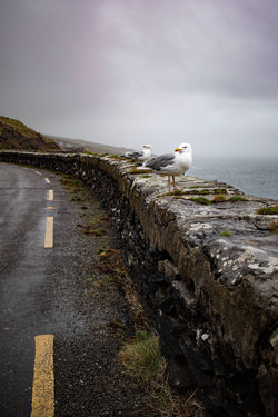Ireland_5