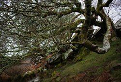 Ireland_3