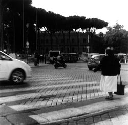 Nun Crossing Street