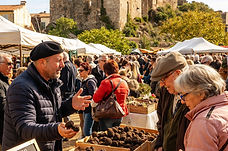 Circuit Var Hiver fête de la truffe Grimaud.jpg