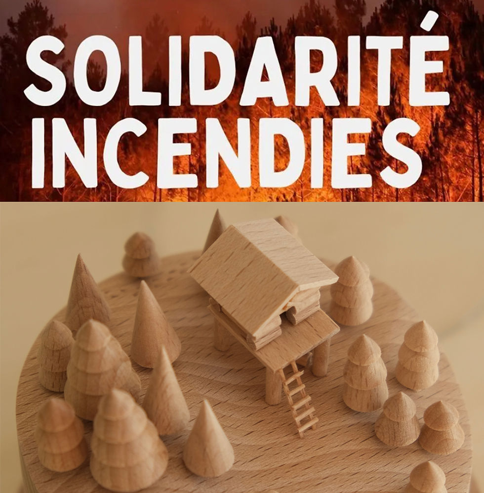 Miniature : Solidarité incendies