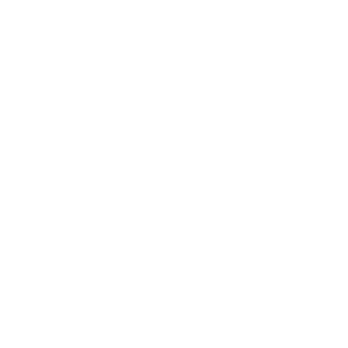logo_preloader4.gif