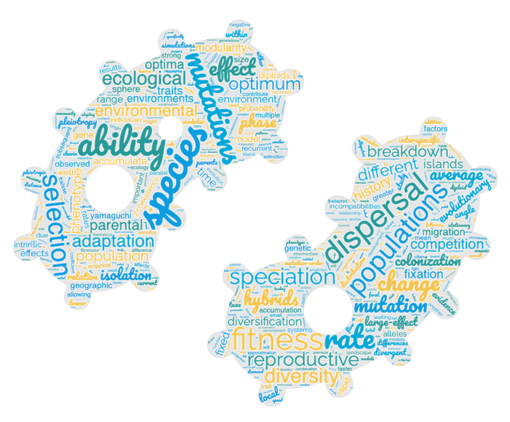 wordcloud.png