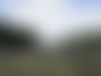第1回GG場の草刈り作業