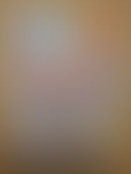 卒業記念写真を募集されています!