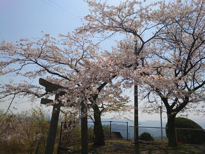 広瀬の春の景色