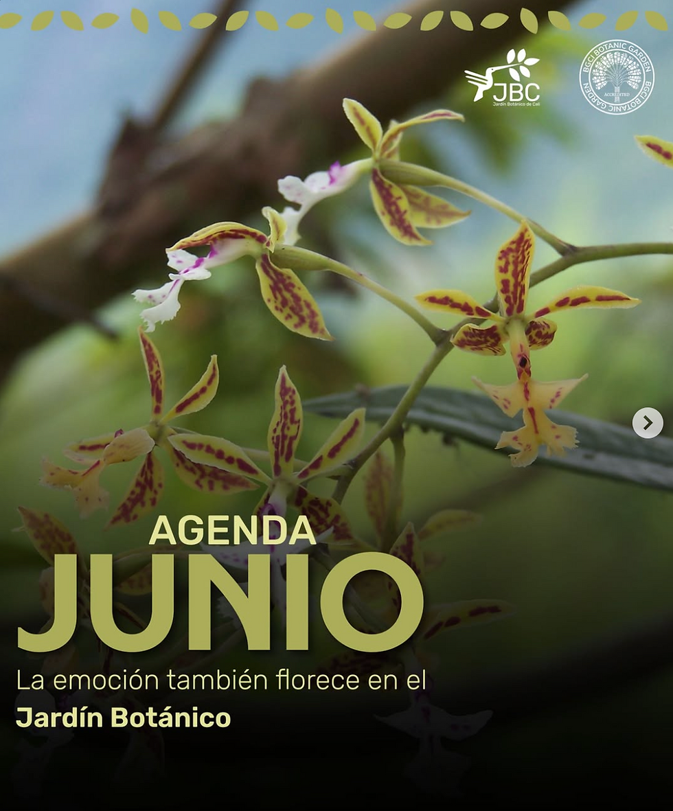 Agenda de Eventos - JUNIO 2026