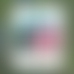 Invitación al Primer Networking - Entre Mujeres Colombia