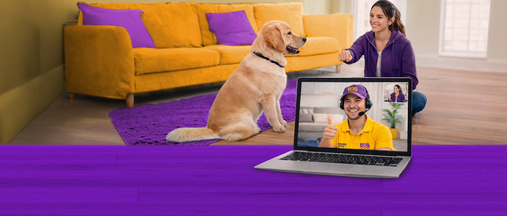 clases virtuales adiestramiento canino