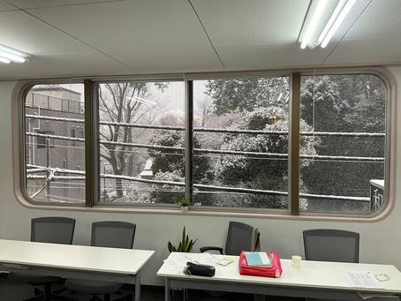 雪が綺麗というだけのブログ。