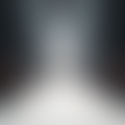 Top Fashion Shows during New York Fashion Week