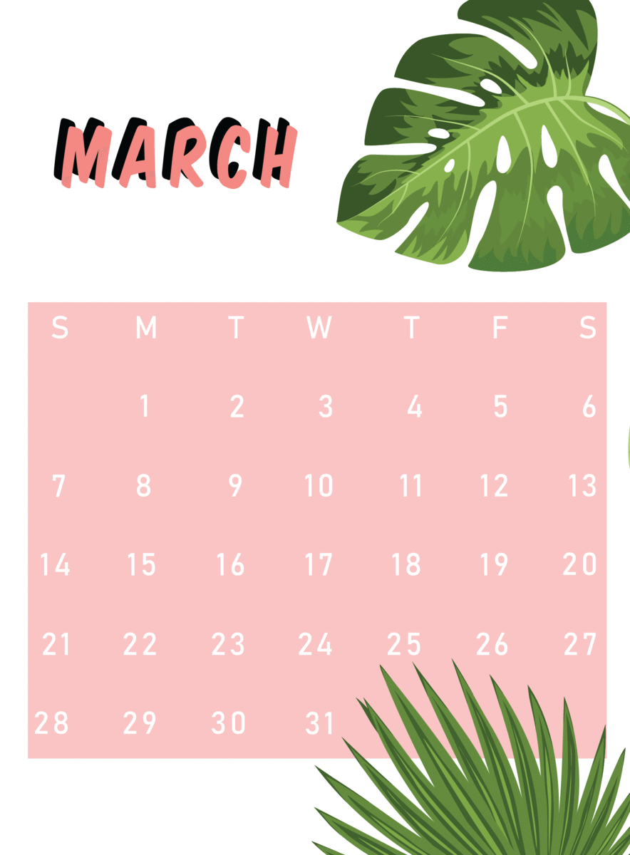 Tropical_Process 2.gif
