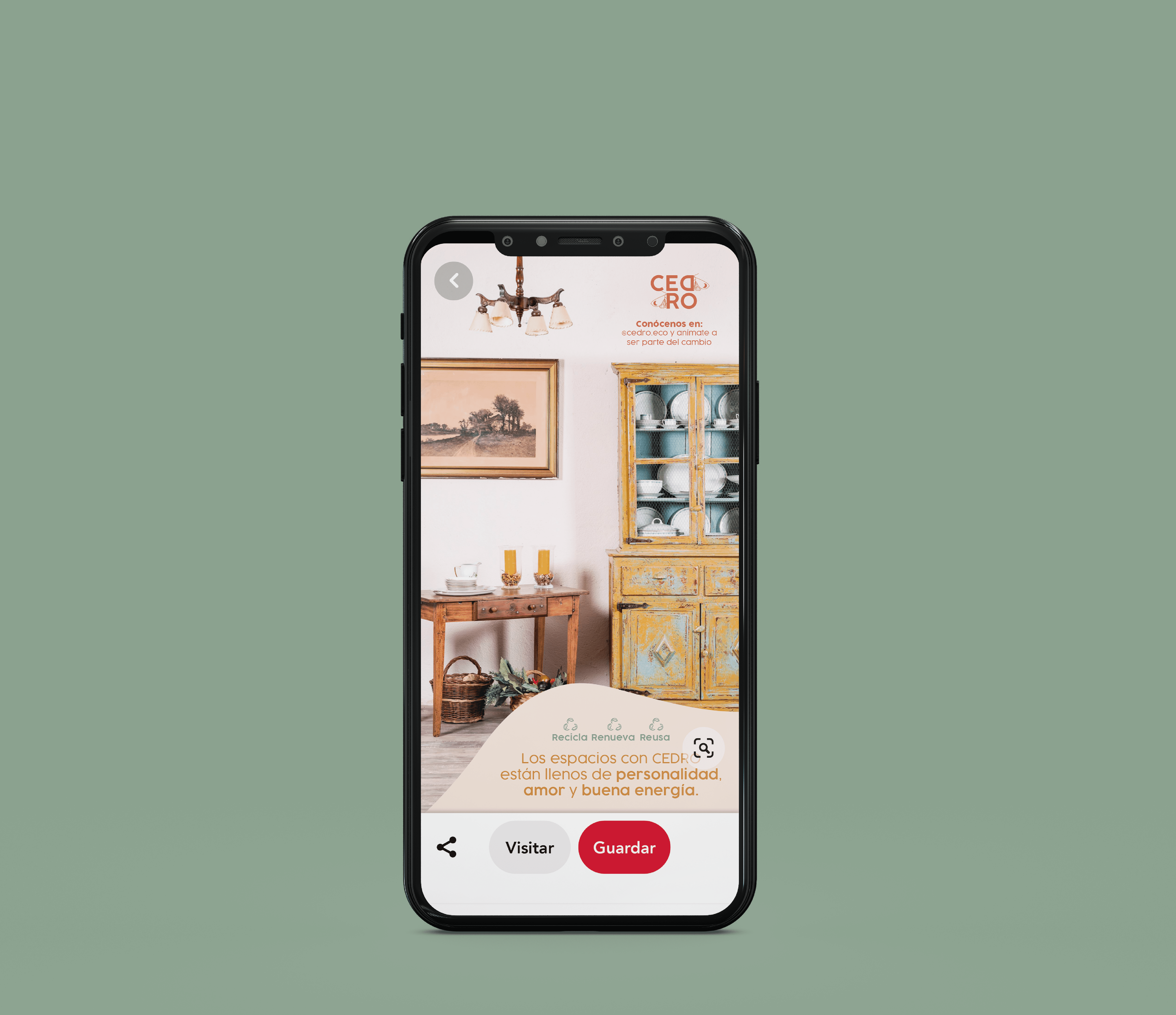 cedro1_Mesa de trabajo 1.png