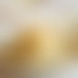 Fin d’année : comment le soufflé glacé au Marc de Champagne valorise votre offre dessert