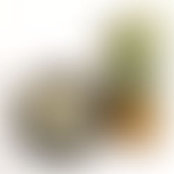 Où trouver un grossiste pâtisserie en France en 2025 ?