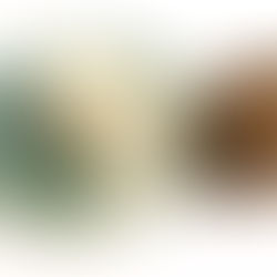 Soufflé glacé: déclinaisons chocolat, coco, framboise