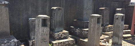 S__43950102.jpg