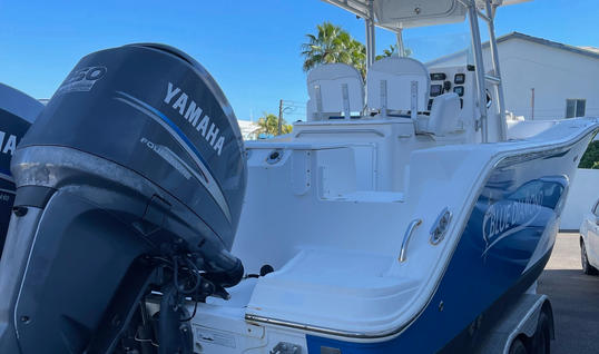 28' SeaFox