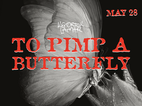 a butterfly
