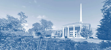 IMG_1388 bluecopy.jpg